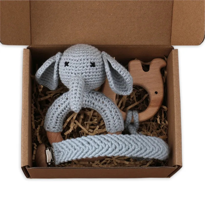 Pacifier Clip Teether Toy Set