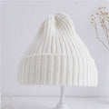 Solid Color Ribbed Beanie Hat