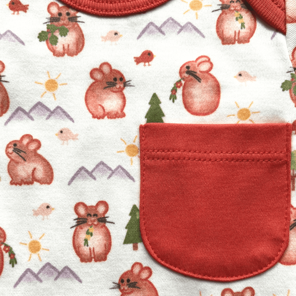 Pika Long Sleeve Bodysuit and Pant | Organic Pima Cotton