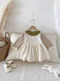 Color Block Knitted Dress