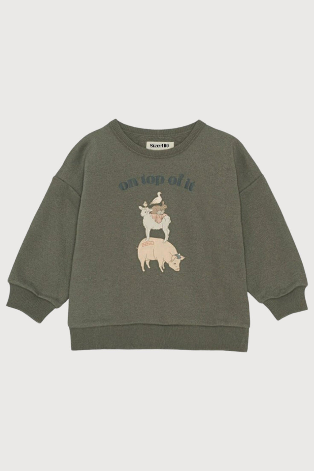 Long Sleeve Print Pullover Sweater
