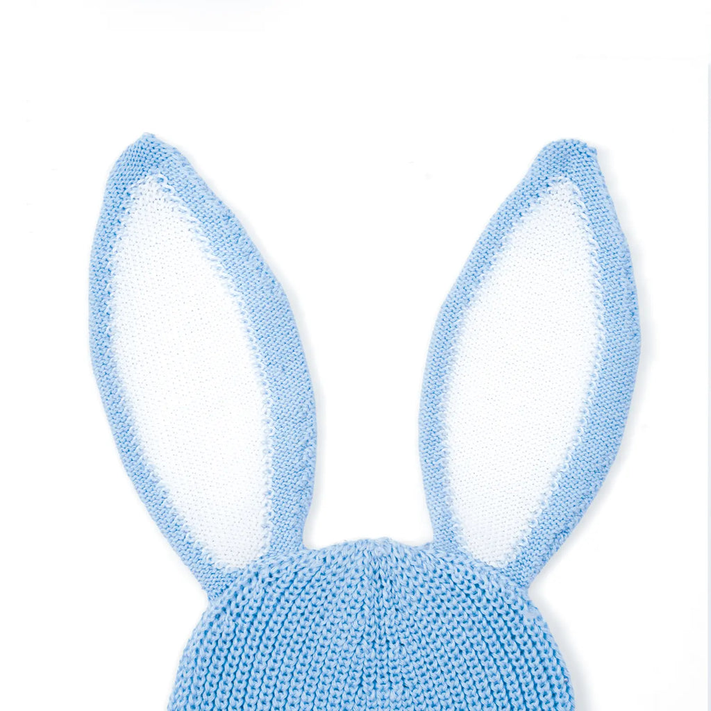 Bunny Ear Knit Beanie in Baby Blue