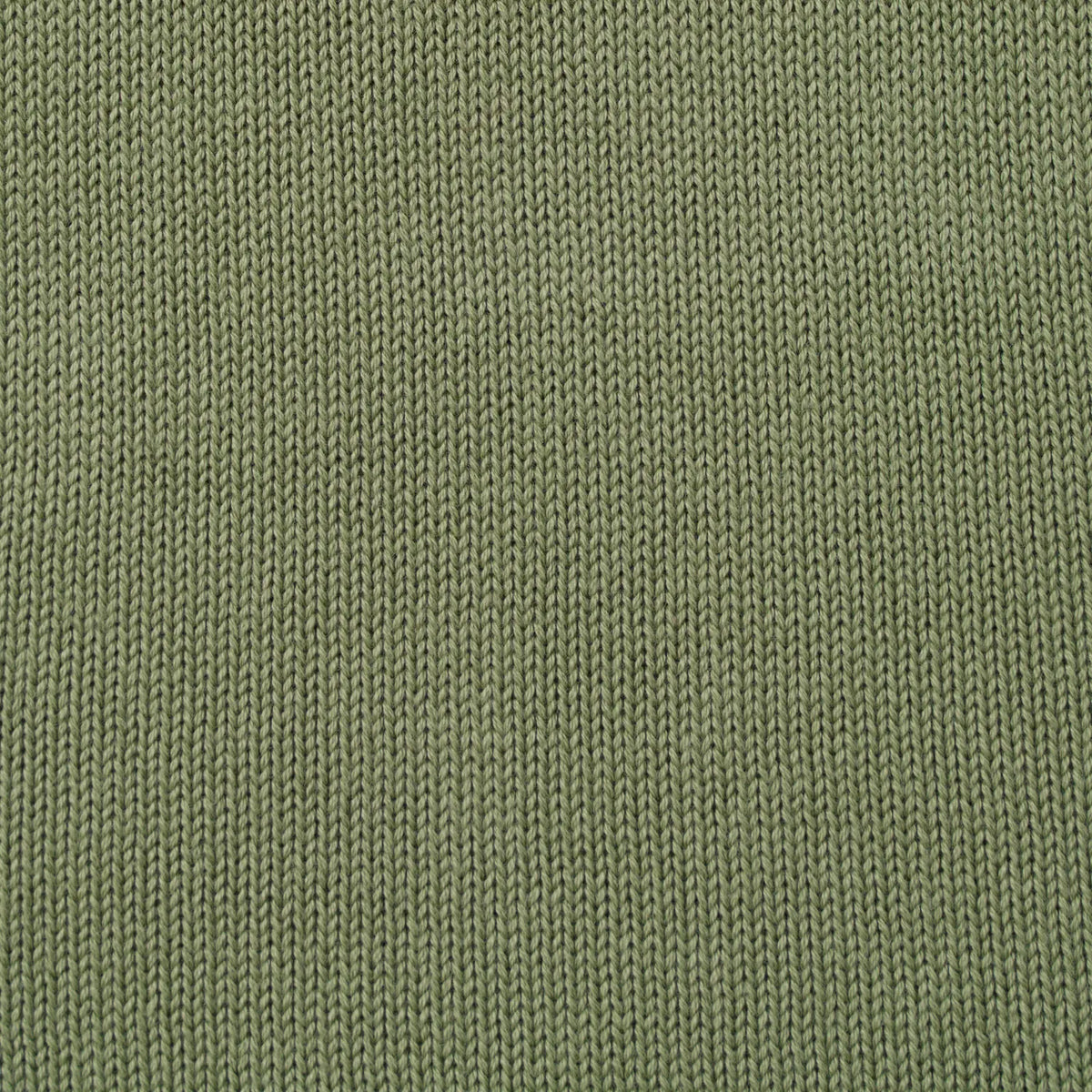 Knit Rollneck Baby Sweater in Sage Green